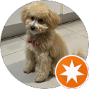 Carlos profile picture