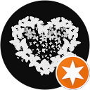 Yadira Sánchez Hernández profile picture